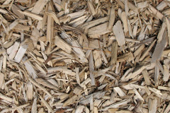 biomass boilers Mannamead